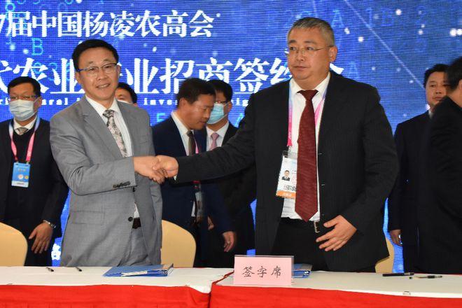好消息洛南縣最新又引進了一個大項目總投資10億元